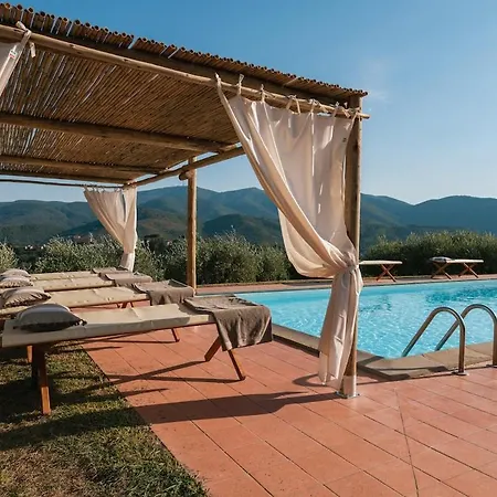 Il Castoro Capannori