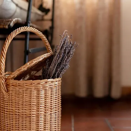 Il Castoro Vila Capannori