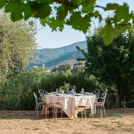 Il Castoro Capannori