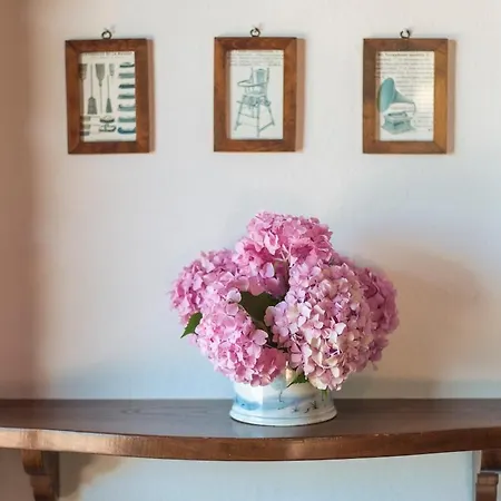 Vila Il Castoro Capannori