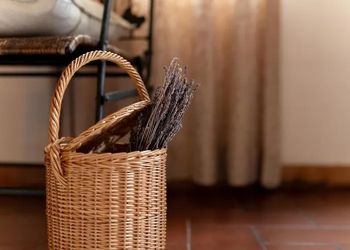 Il Castoro Willa Capannori