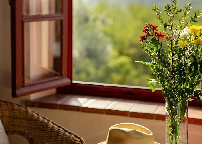 Il Castoro Capannori