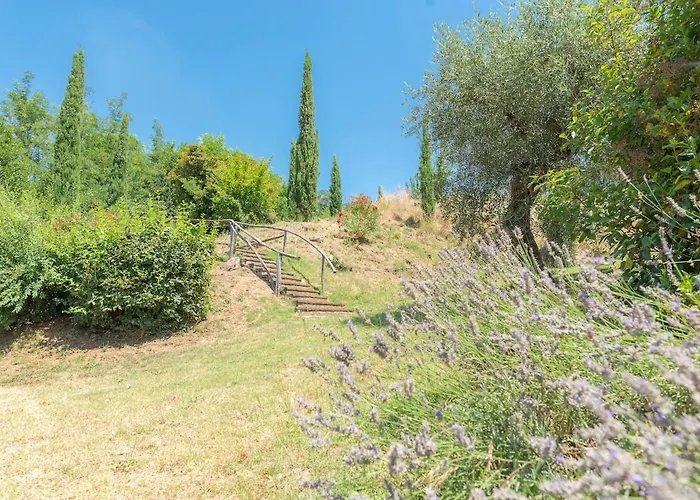 Il Castoro Willa Capannori