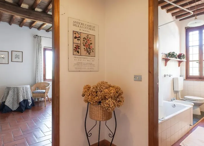 Il Castoro Villa Capannori